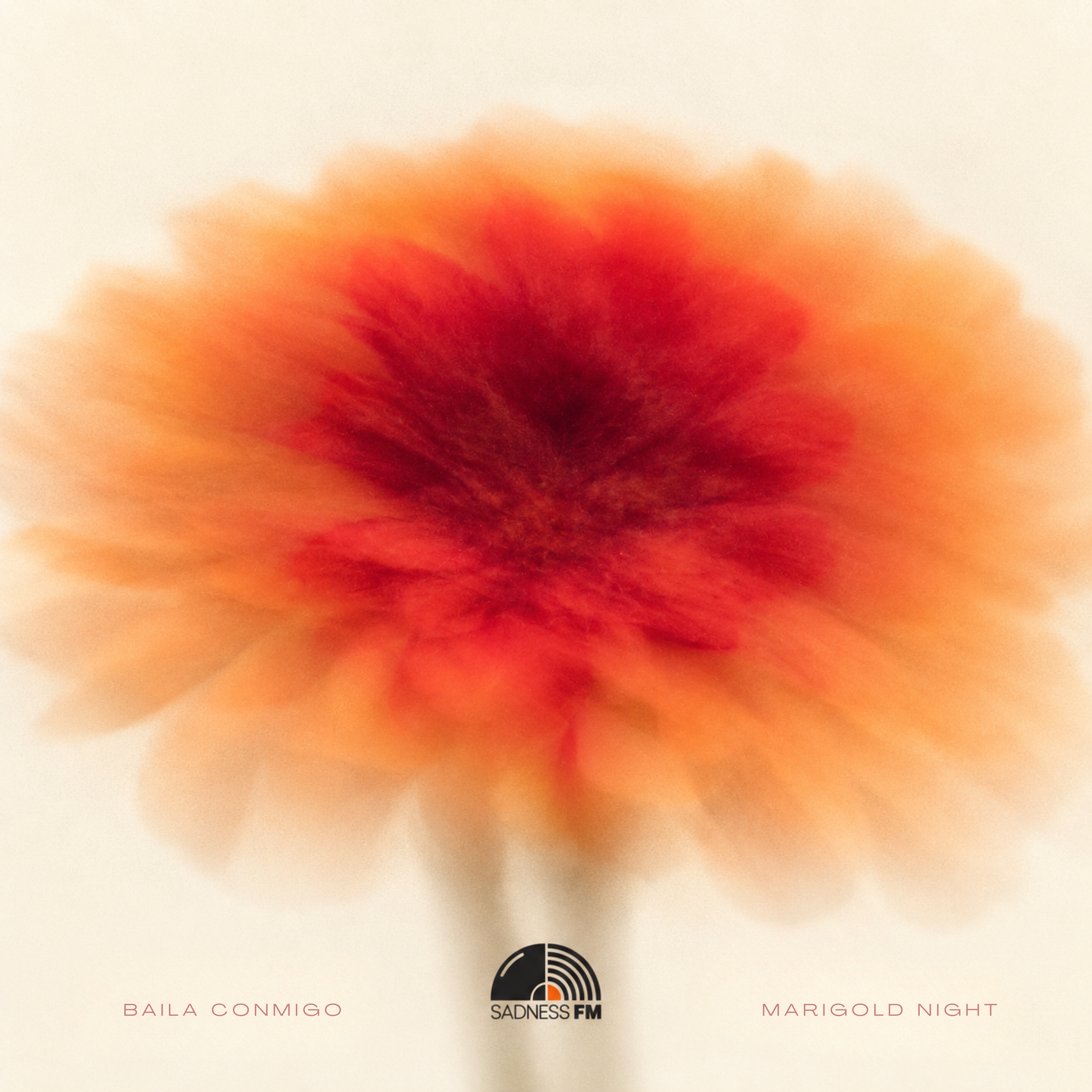 Marigold Nights cover artwork